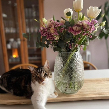 Chat posé à côté d'un bouquet de fleurs